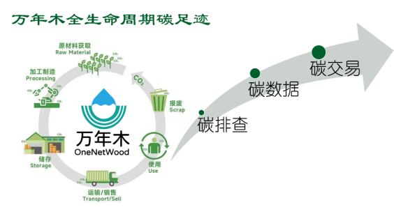 1769416774478171.png 1769416774478171.png